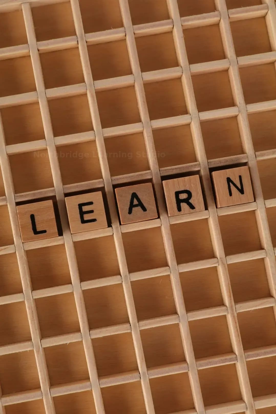 Summer learning workshops